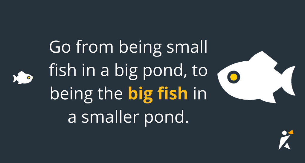 subtle switch like this can help you go from being a small fish in a big pond, to being the big fish in a smaller pond. subtle switch like this can help you go from being a small fish in a big pond, to being the big fish in a smaller pond.