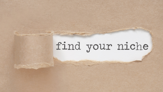 Defining Your Niche How to Win at Public Speaking